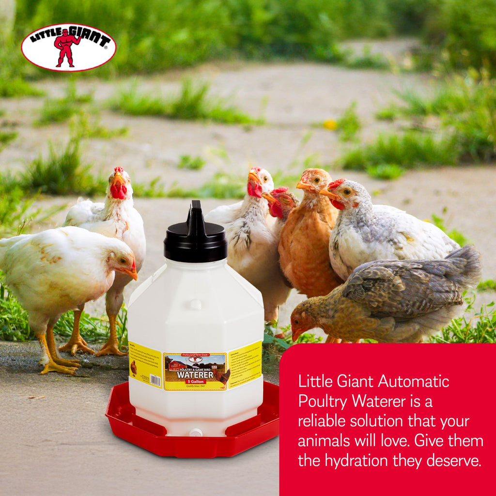 Plastic Poultry Waterer W8637