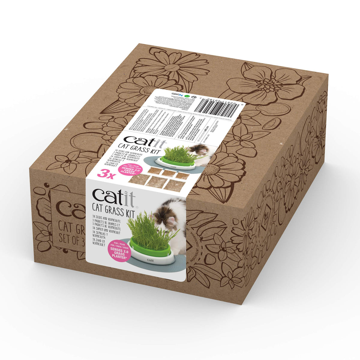 Cat Grass Seeds Set of 3 H4103