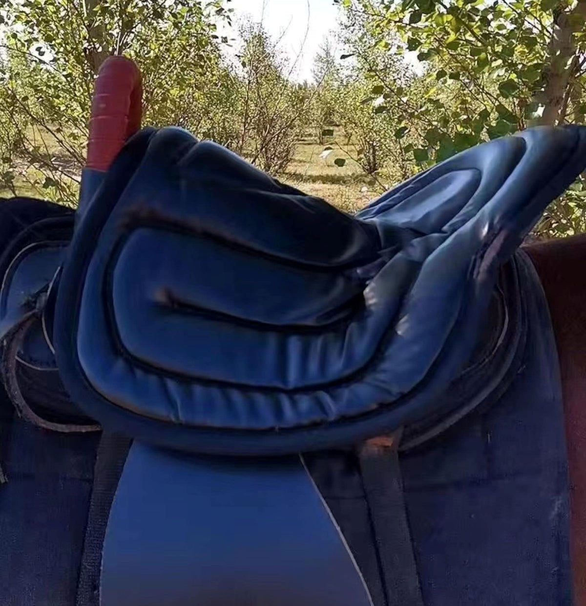 Western Saddle Cushion Pad C318