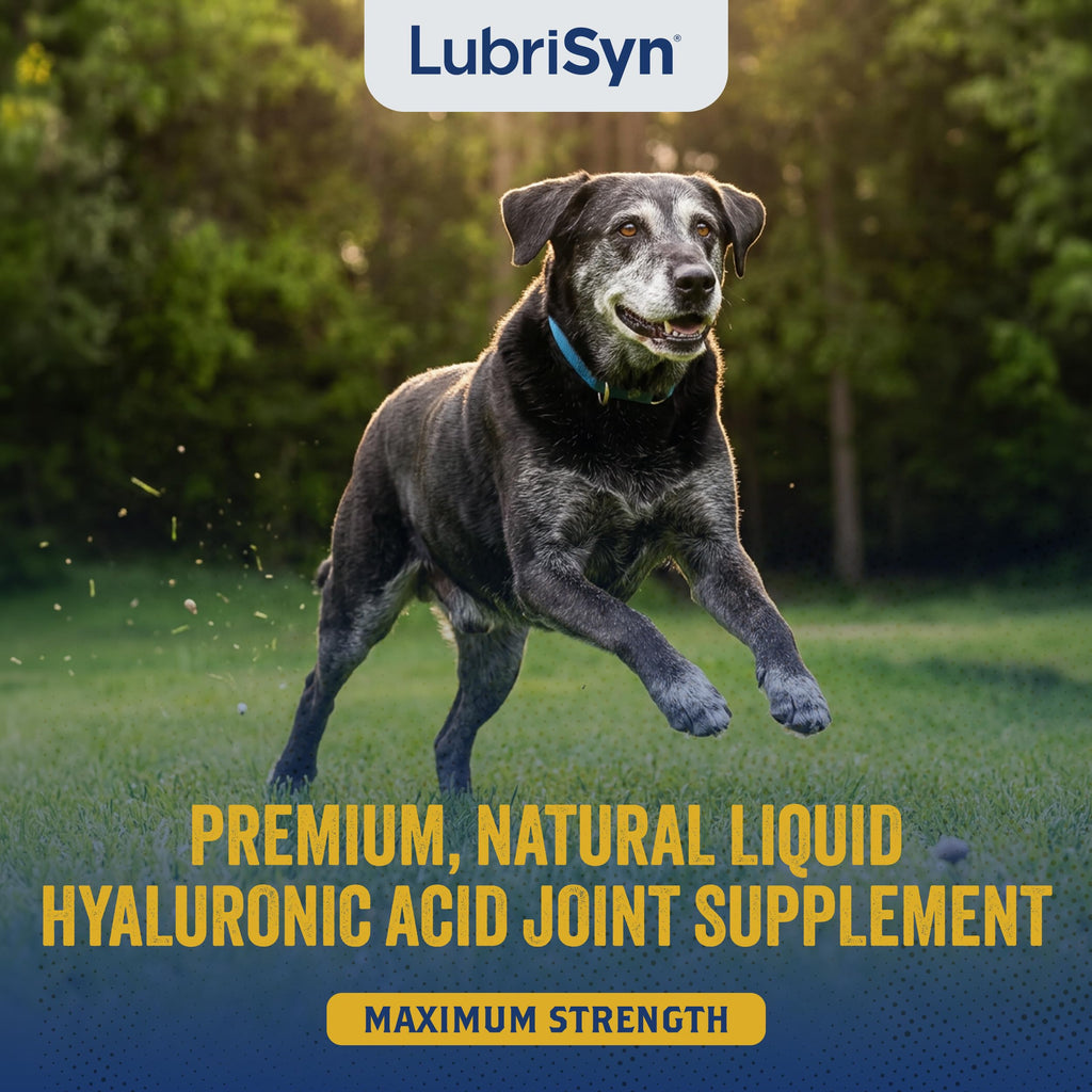 Hyaluronic Acid Hip & Joint Supplement for Dogs & Cats, 16 oz Z769