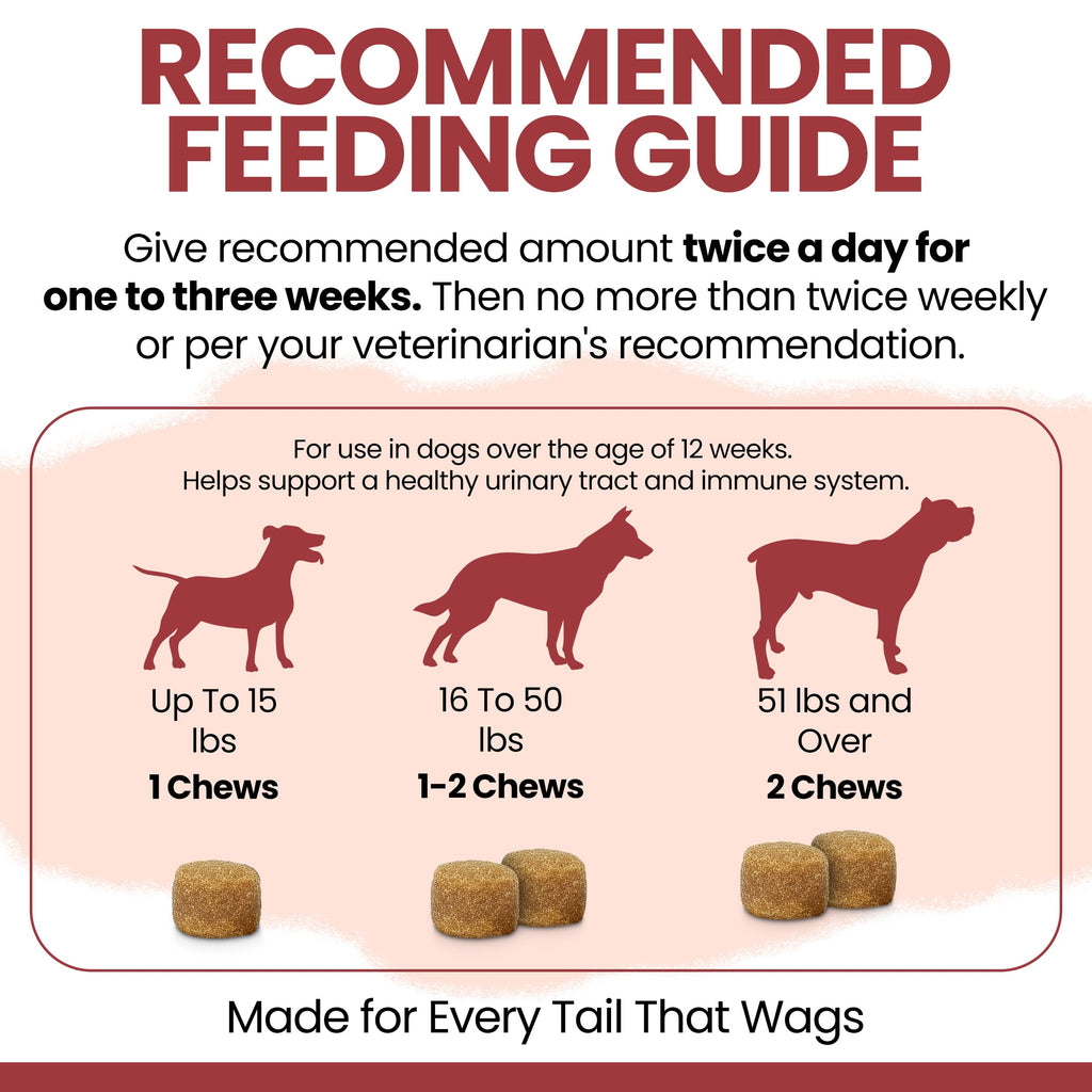 Cranberry Supplement for Dogs, 240 Soft Chews G659