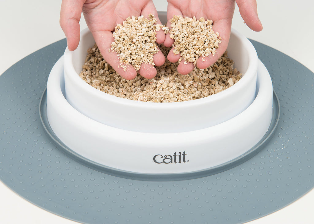 Cat Grass Seeds Set of 3 H4103