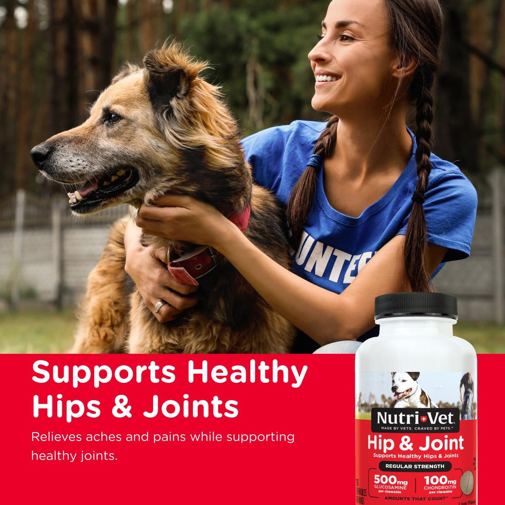 Dog Supplement, 500mg Glucosamine, 75 Count A809805
