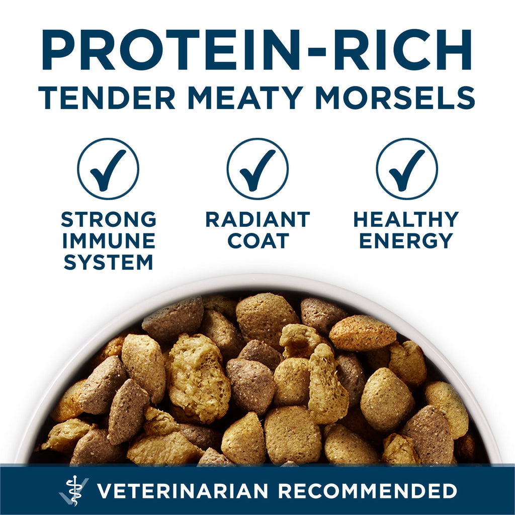 Adult Large Breed Dry Dog Food Chicken 40 lb Bag A65074