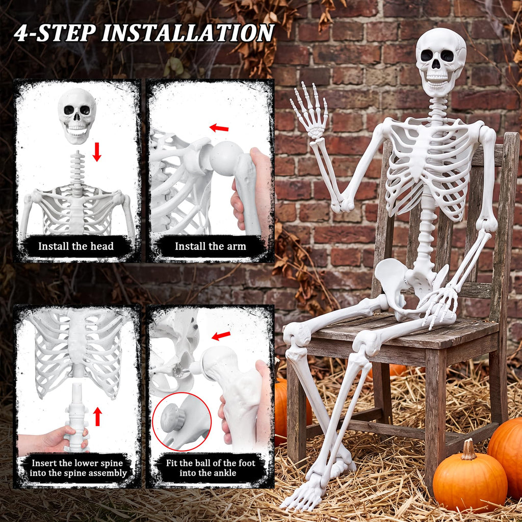 Life Size Human Skeleton with Posable Joint Y373051