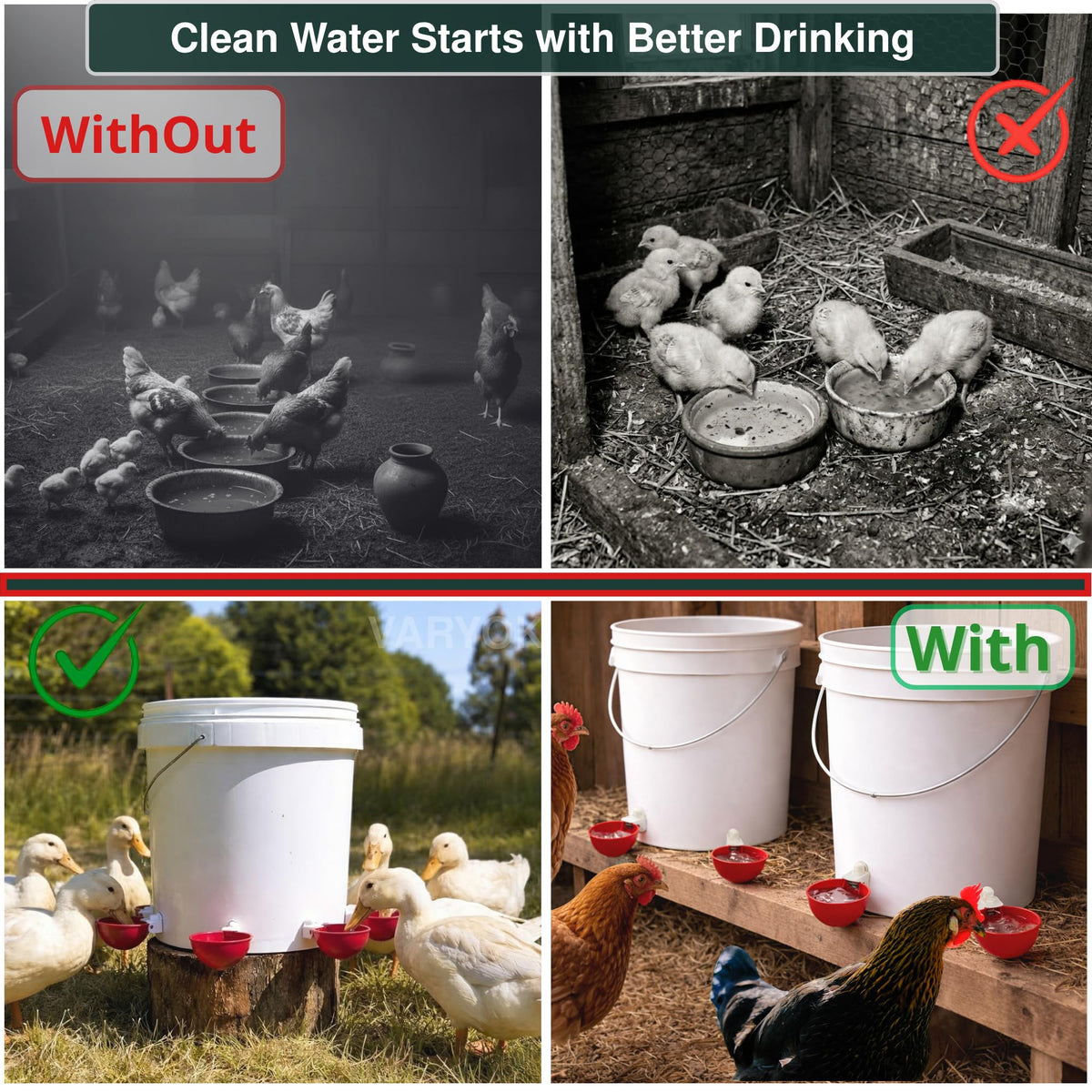 6 Pack Large Chicken Water Cups H9618