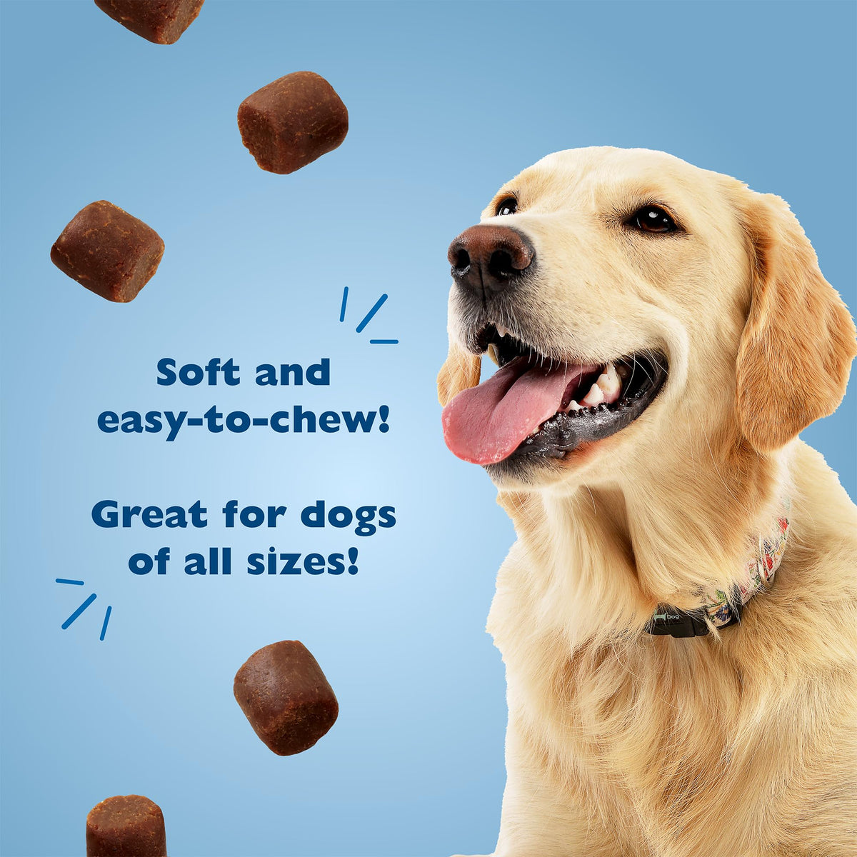 Chicken Liver Flavor Soft Training Dog Treats 20oz 3-Pack L2745
