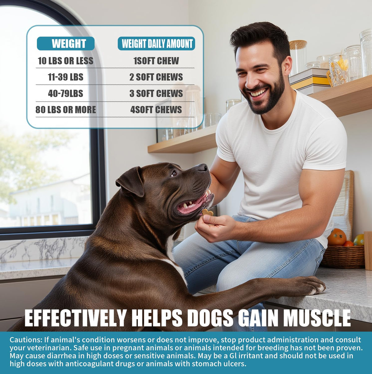 High Protein Dog Weight Gainer H376
