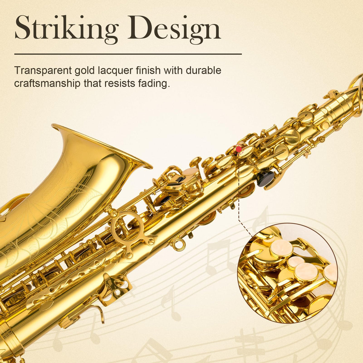 E Flat Alto Saxophone Full Kit E334