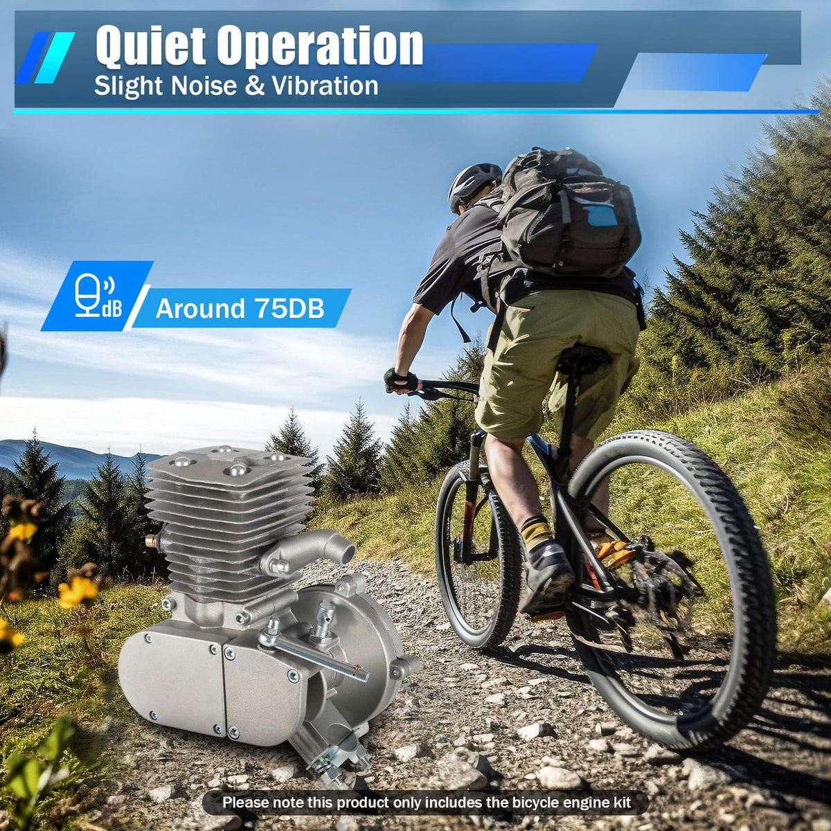 2 Stroke Air Cooling Bicycle Engine Kit V3991