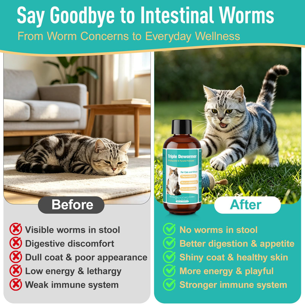 Cat Dewormer Liquid L86086
