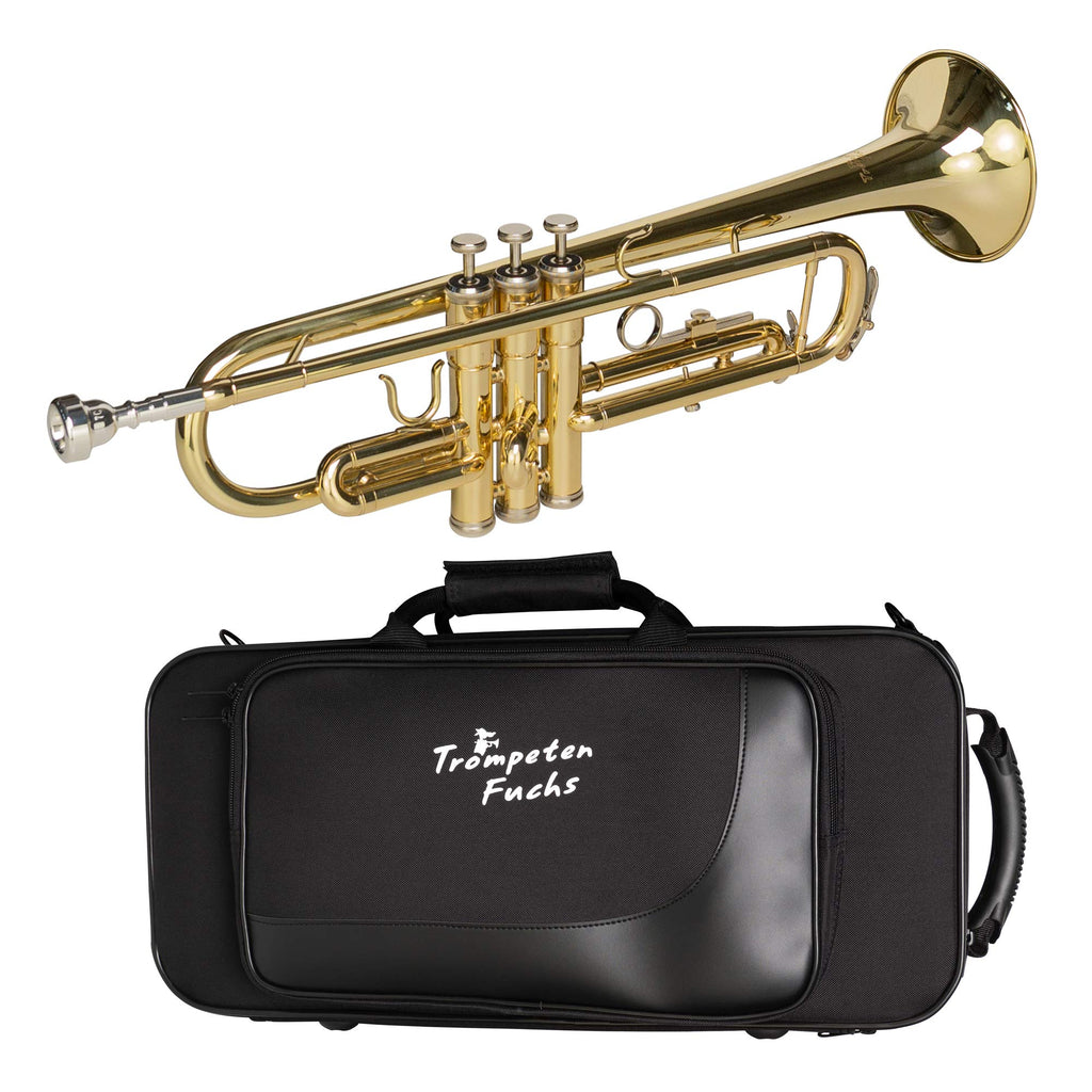 Bb Trumpet with Mouthpiece and Case D904867