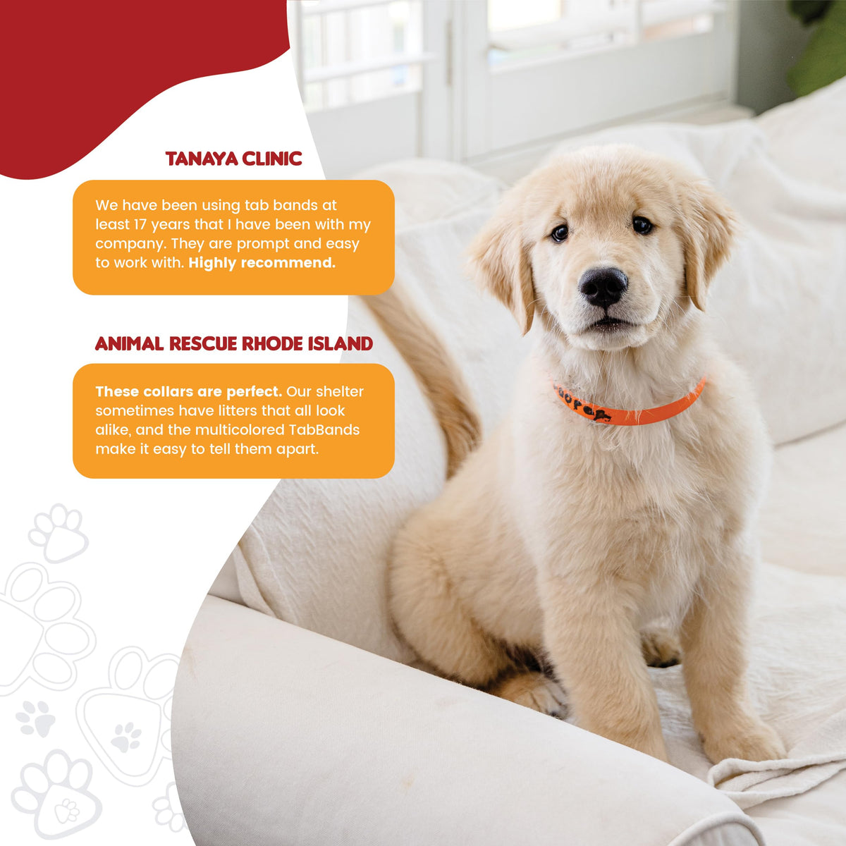 10 Inch 500 Count Waterproof Writable Pet ID Collars D549