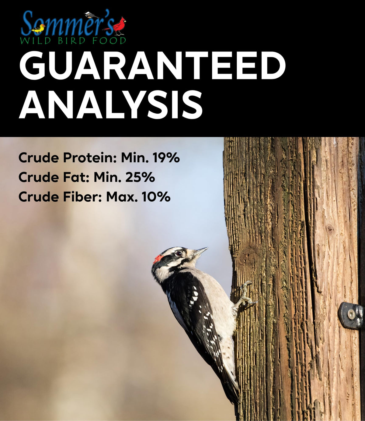 Bird Seed, 20 lb, Nut & Sunflower Seed Blend K5405