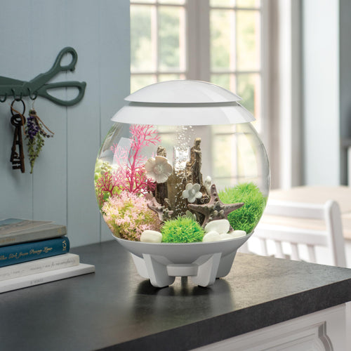 15 Gallon White Aquarium with LED Lights X747