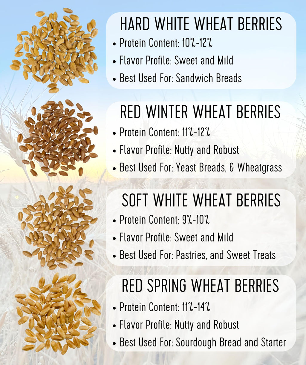 Hard White Wheat Berries 5 lbs O7332