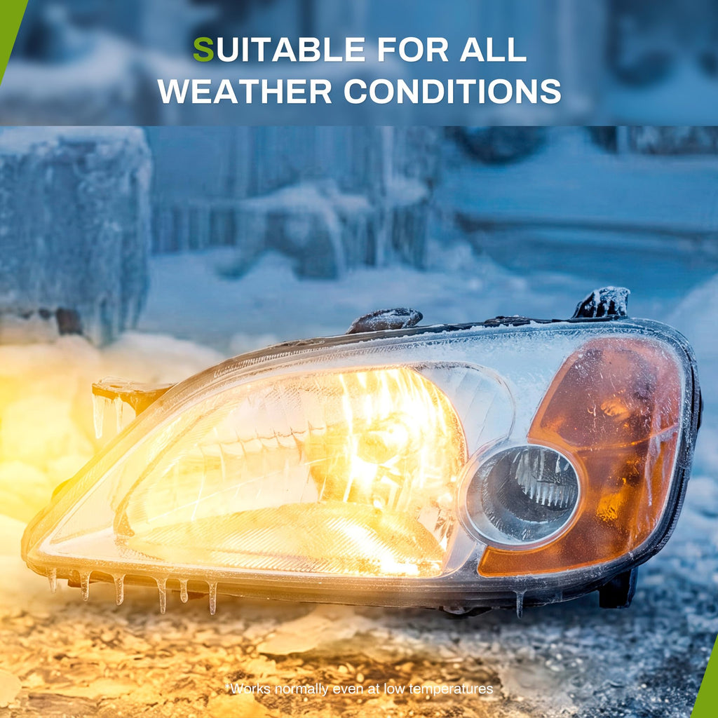 Headlight Assembly T9787