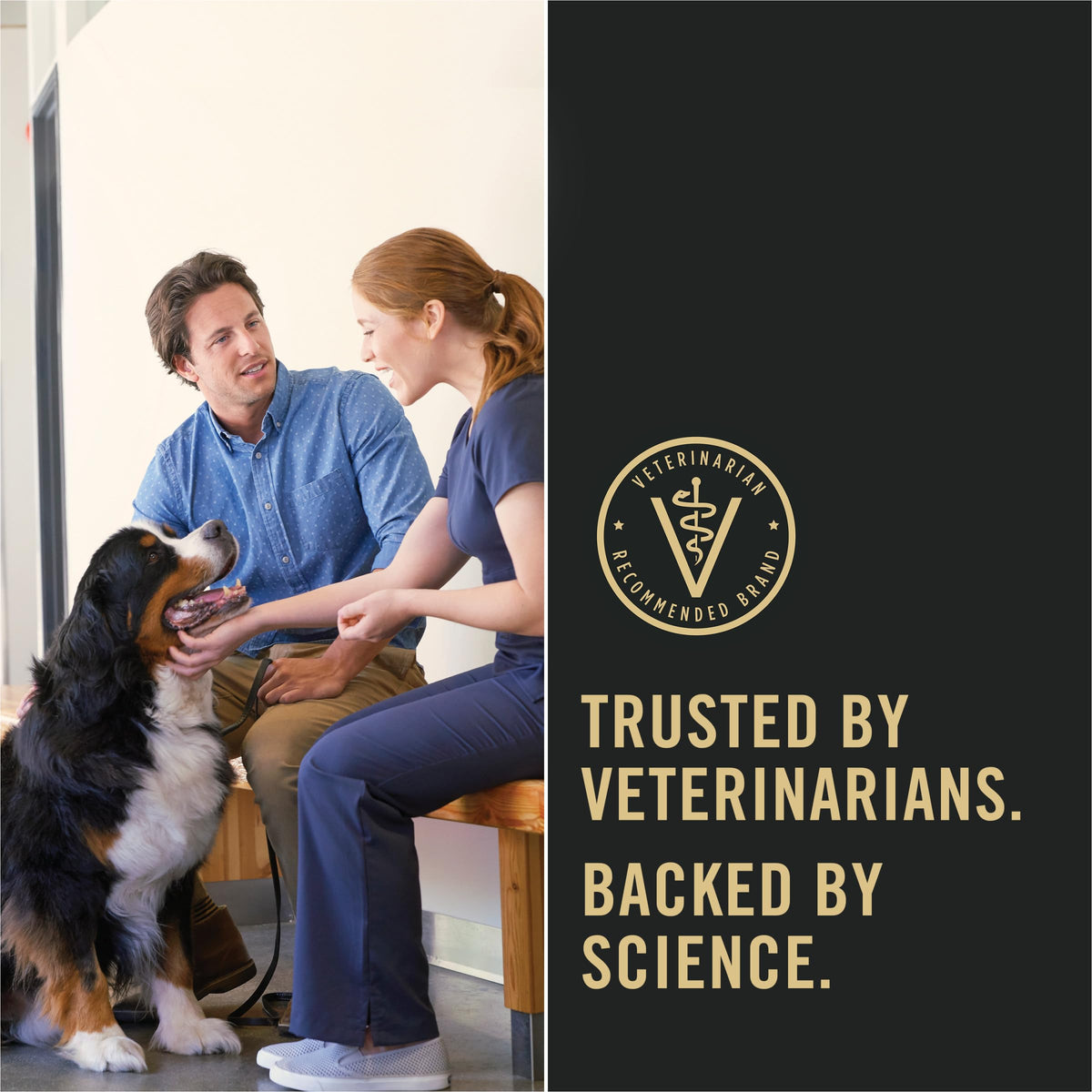 Sensitive Skin & Stomach Large Breed Dog Food 34 lb Bag Q7742