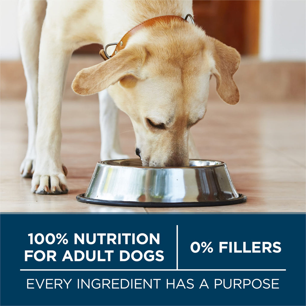 Adult Large Breed Dry Dog Food Chicken 40 lb Bag A65074