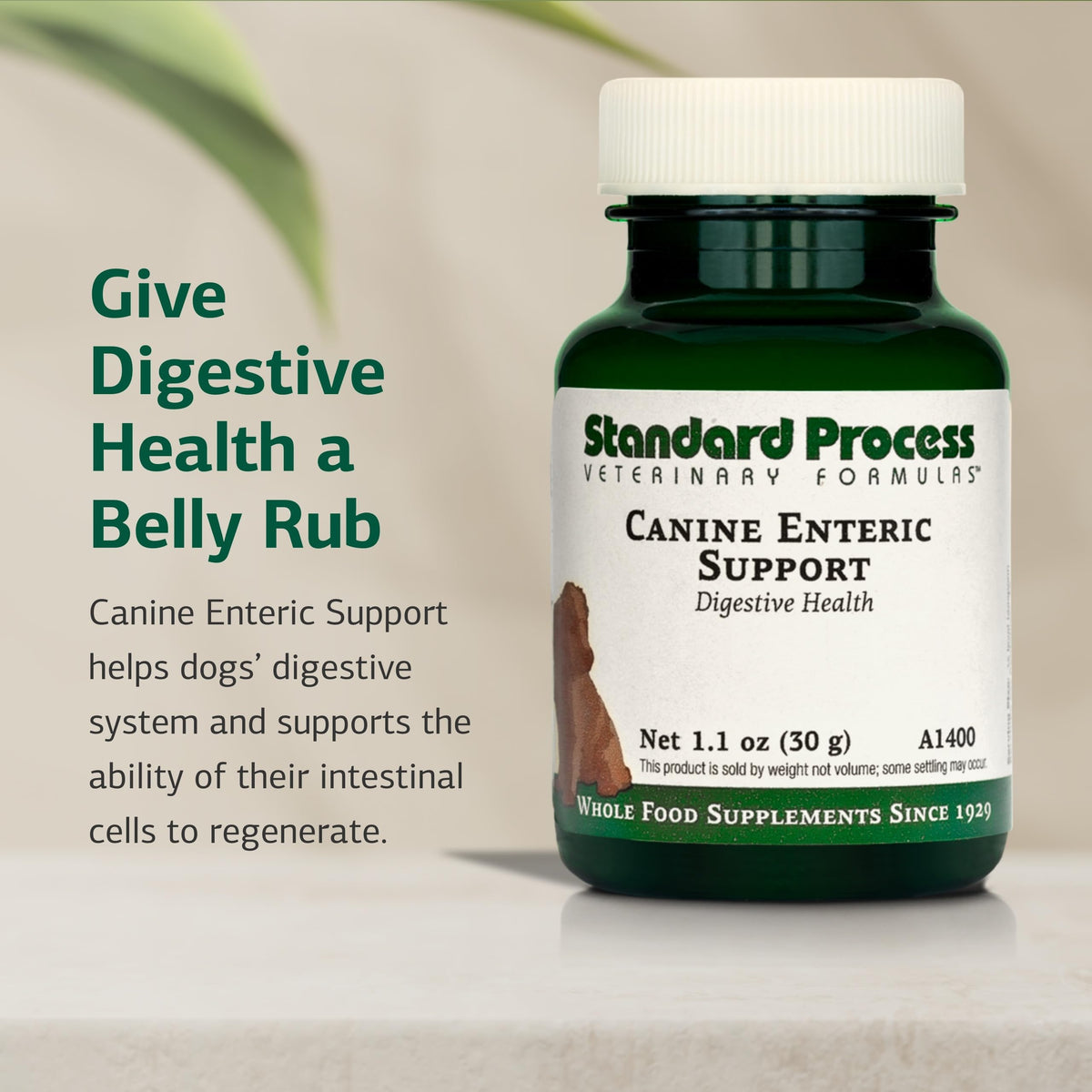 Canine Enteric Support 30 g V286