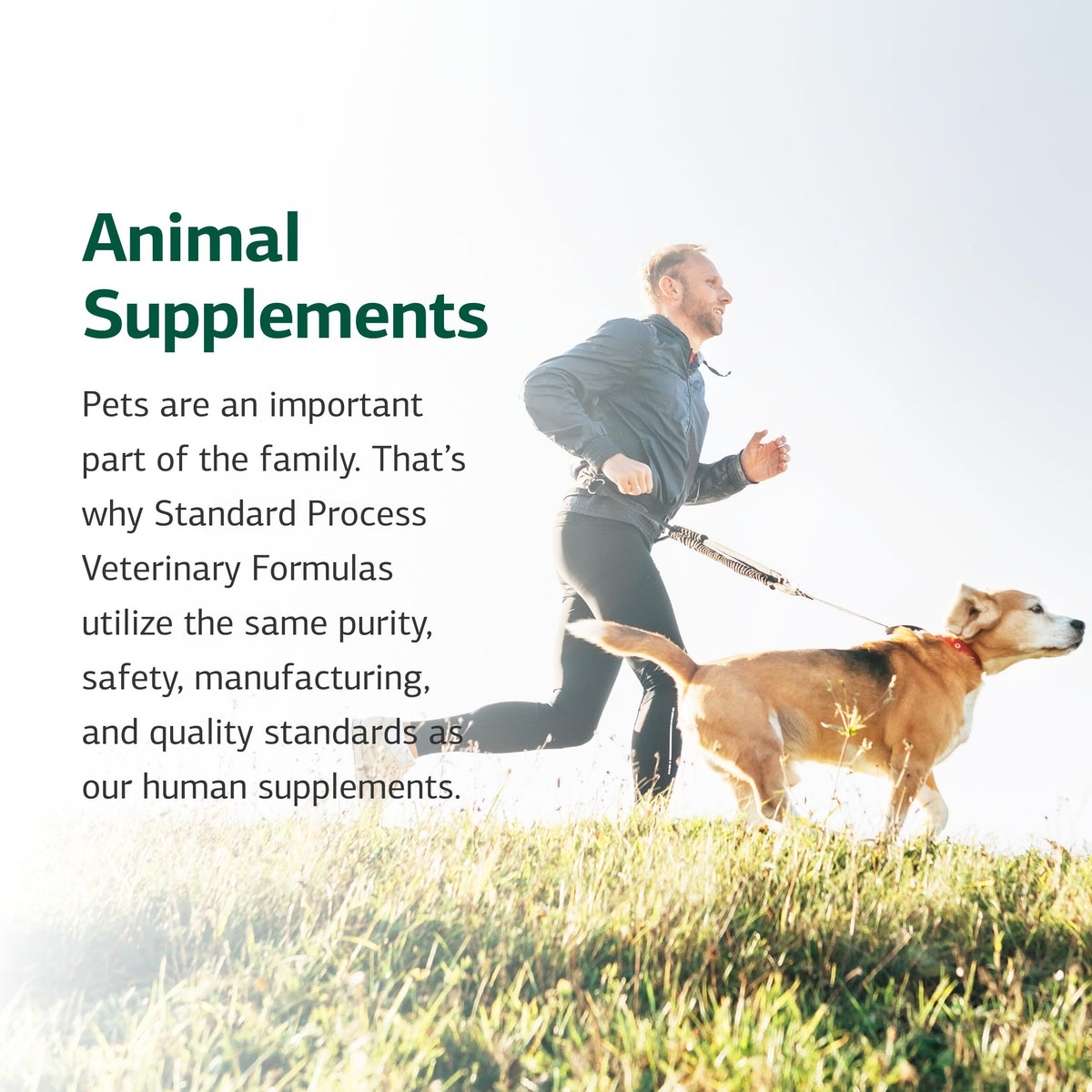 Canine Enteric Support 30 g V286