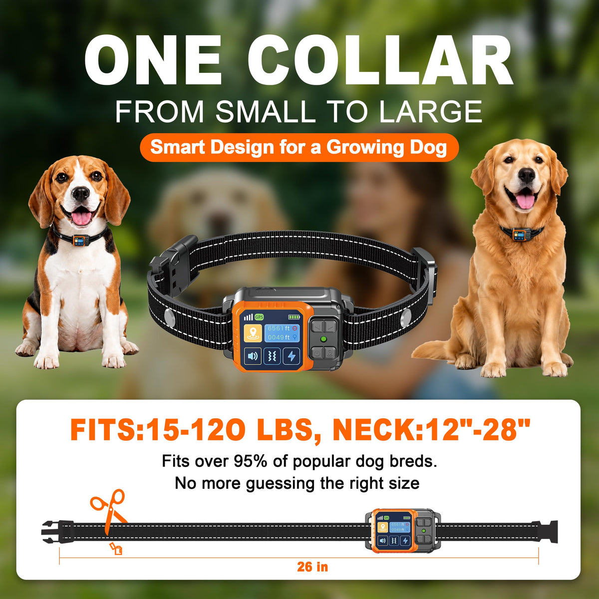 Wireless Dog Fence System T868