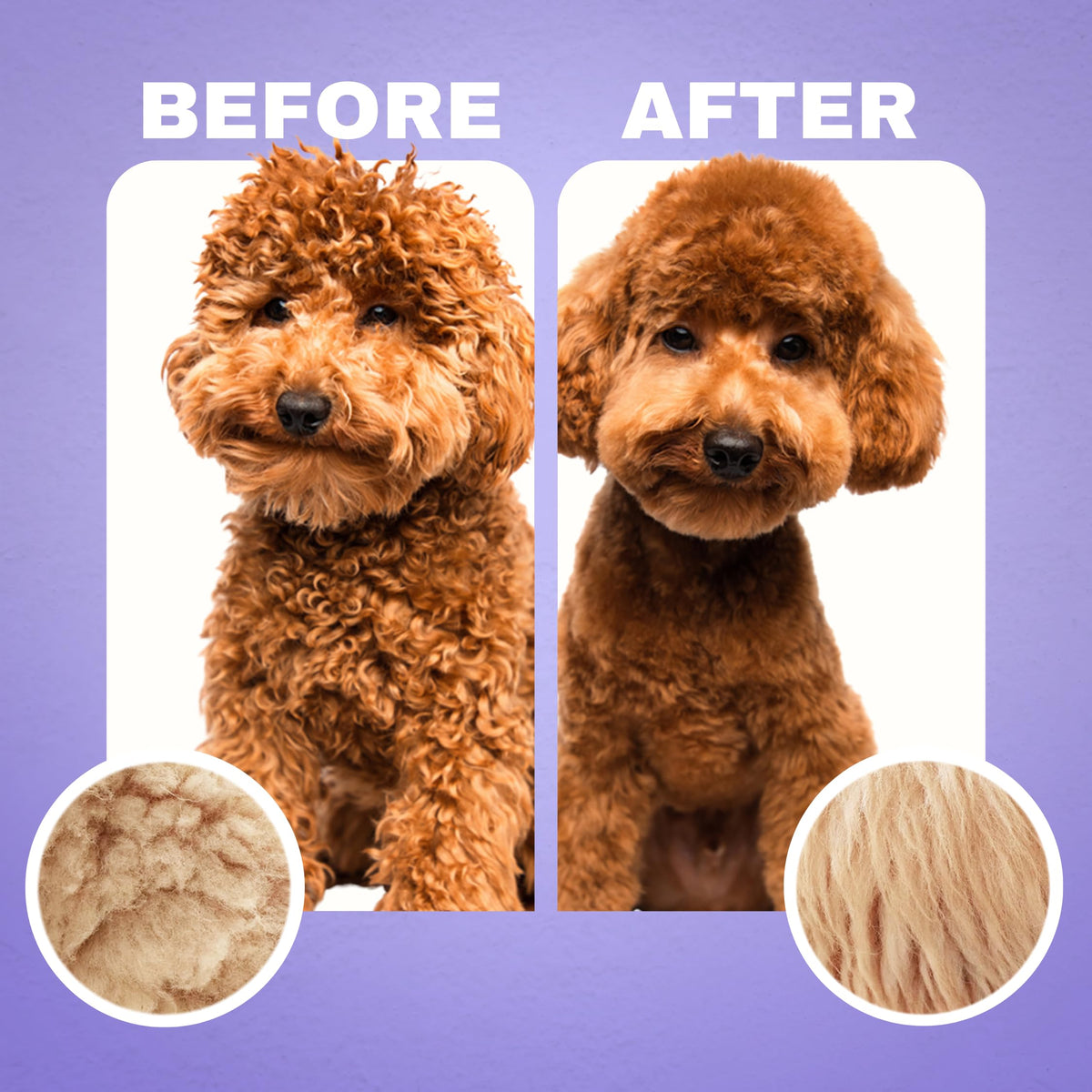 Dog Shampoo and Conditioner Q6770