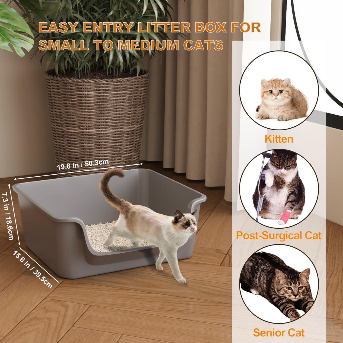 Open-Top High Sides Cat Litter Box with Low Entrance K19065