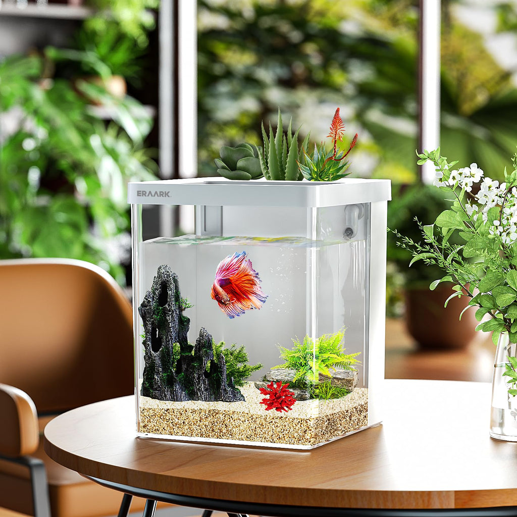 Smart Betta Fish Tank 1.5 Gallon Aquarium with Filter LED Light A308