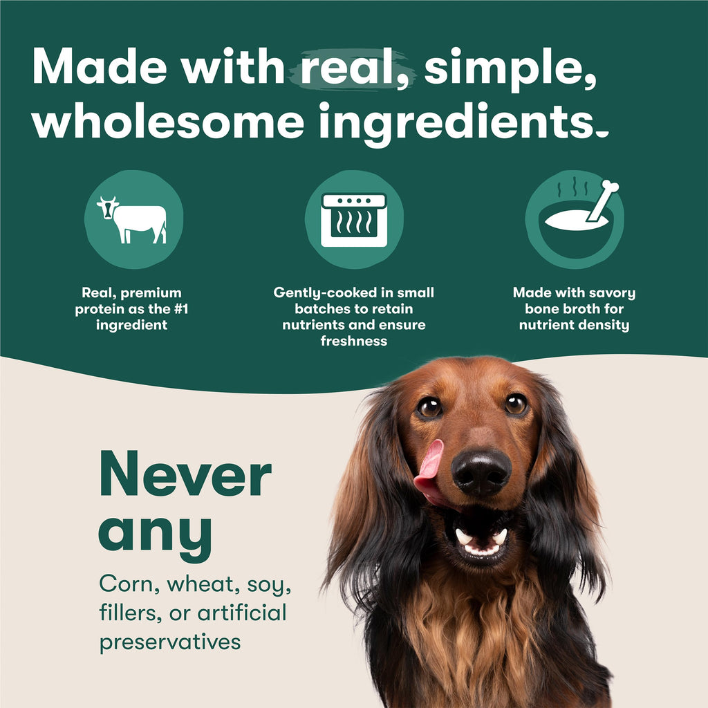 Grain Free Wet Dog Food Toppers 6 Pack 9oz C116