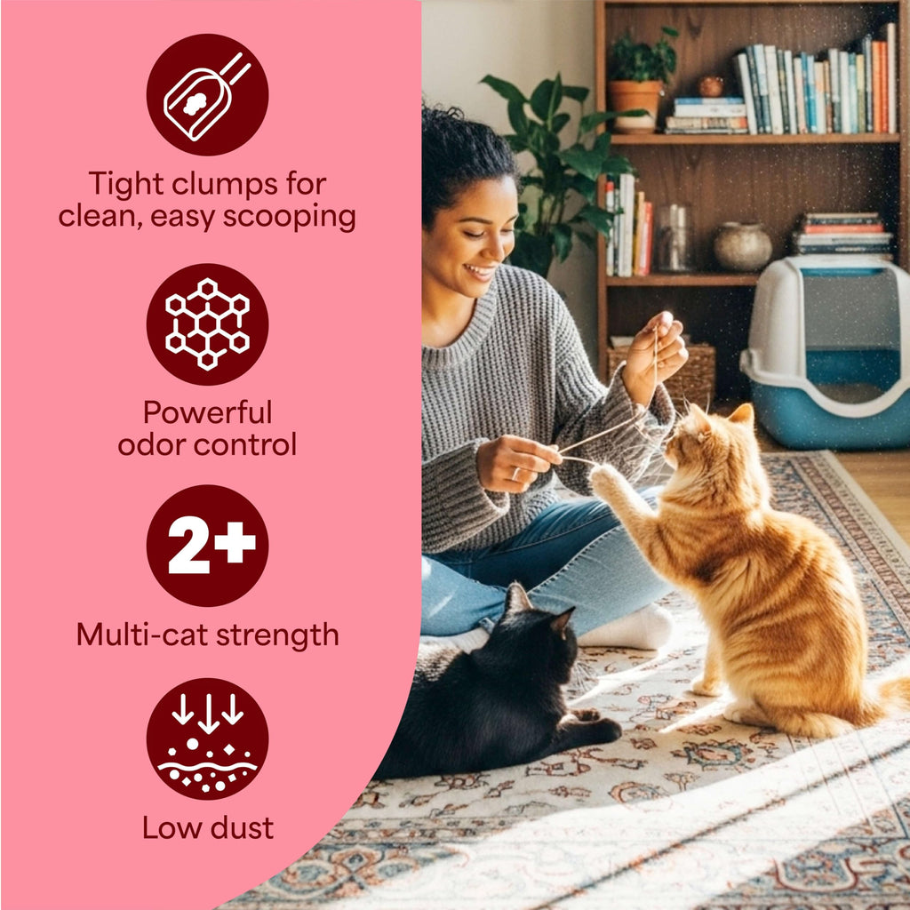 22 lb Clumping Cat Litter H1848