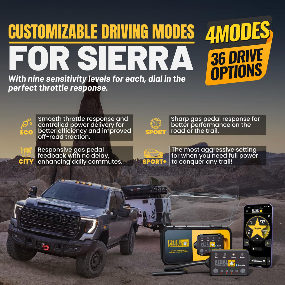 Throttle Controller C589