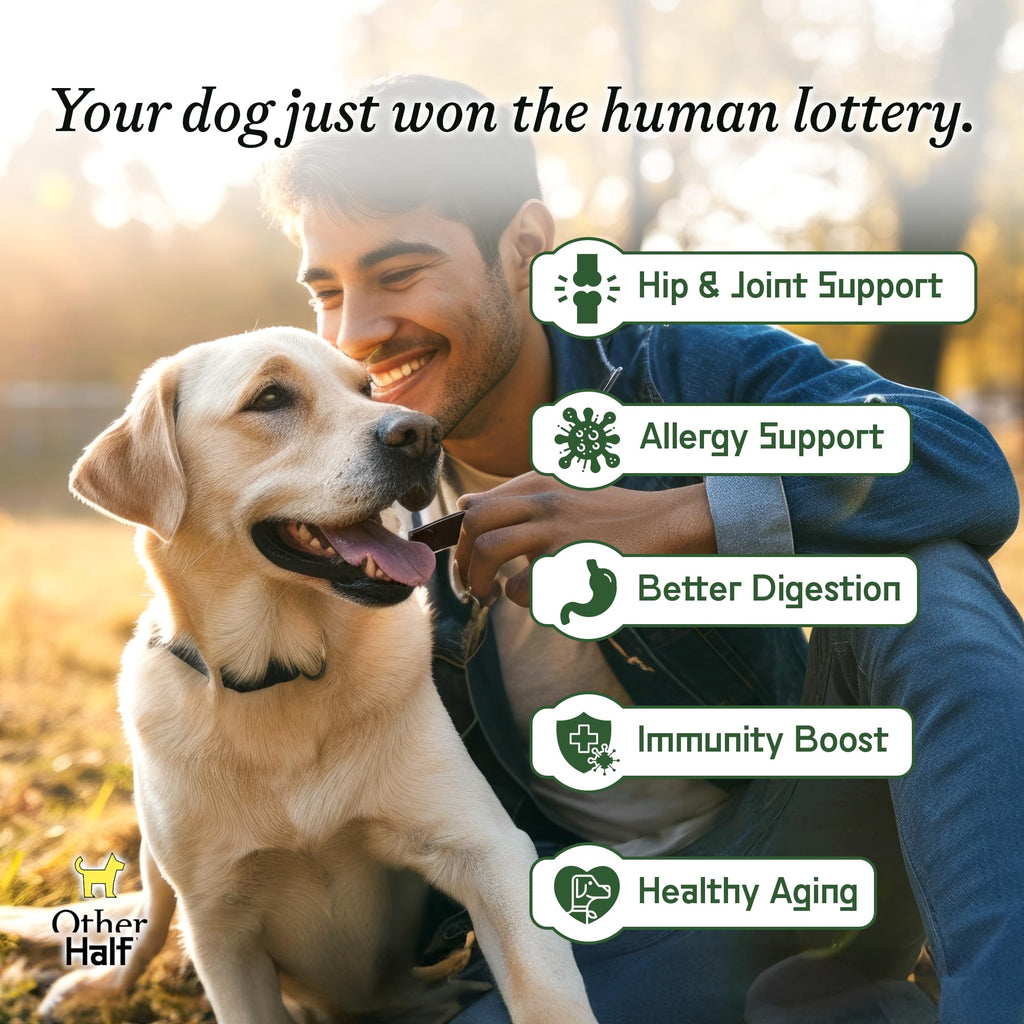 Dog Multivitamin Supplement with Glucosamine Chondroitin Omega 3 Probiotics W285