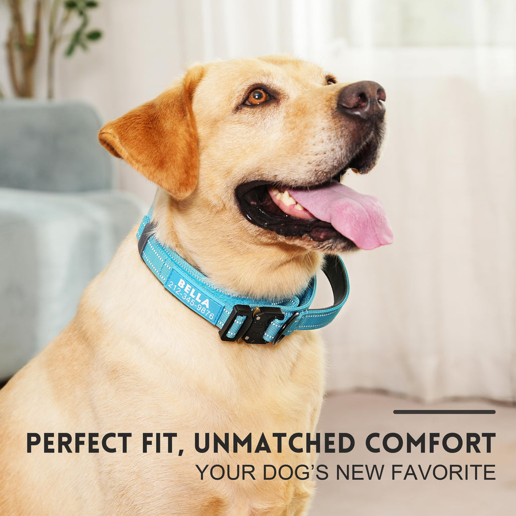 Tactical Dog Collar with Handle D55001
