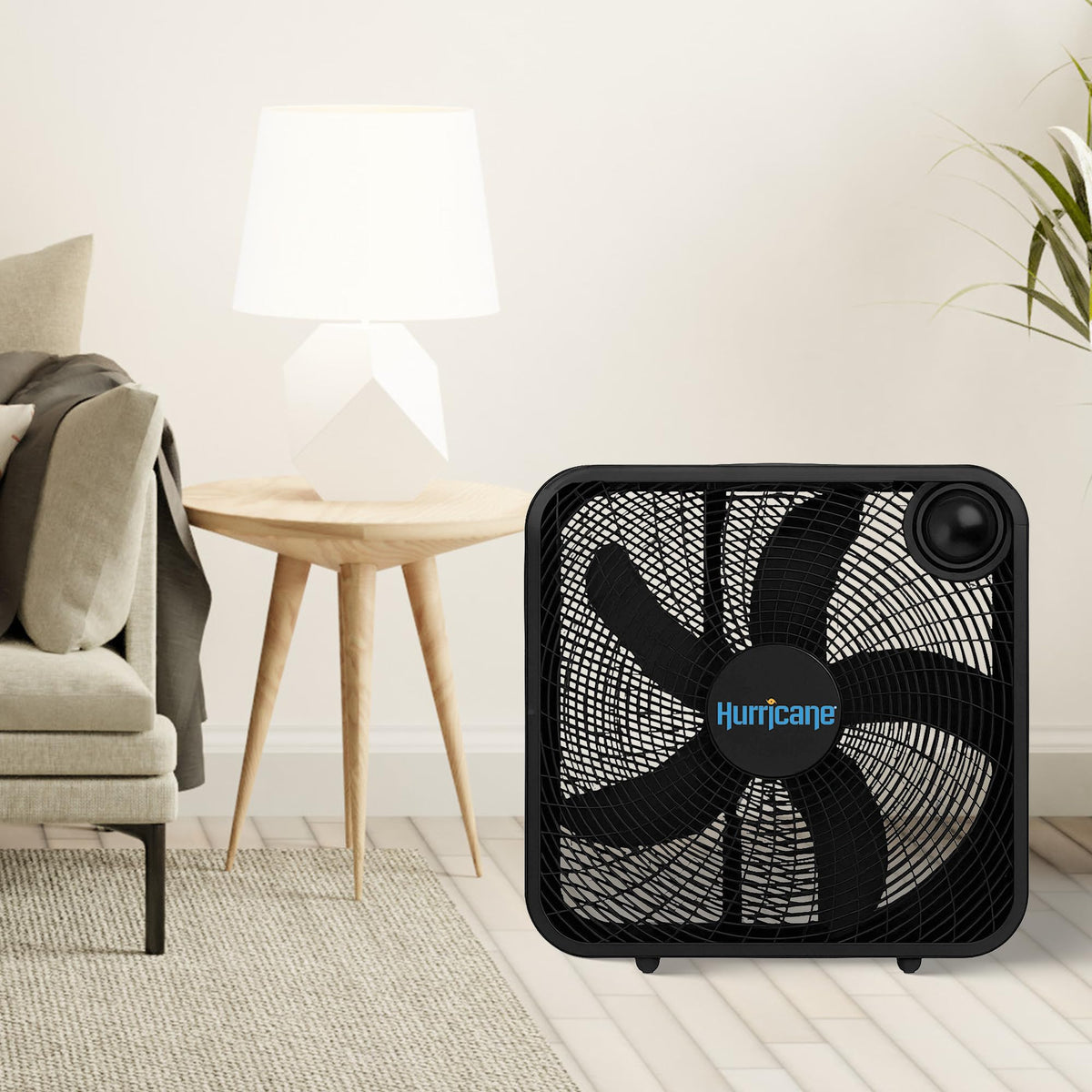 Black 3 Speed 20in Floor Box Fan O503360
