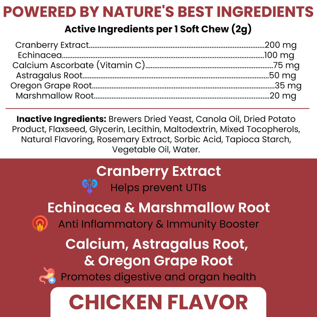Cranberry Supplement for Dogs, 240 Soft Chews G659
