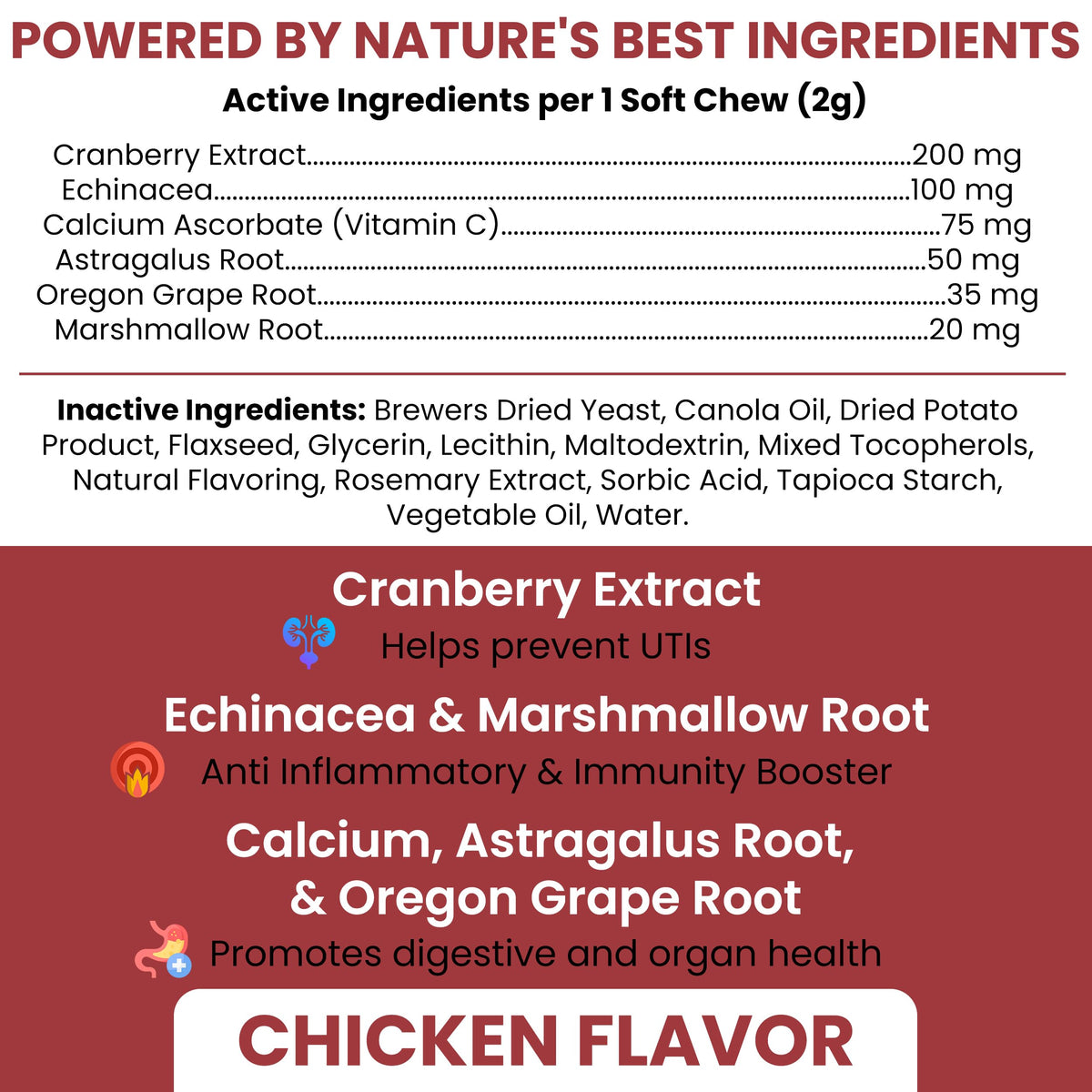 Cranberry Supplement for Dogs, 240 Soft Chews G659