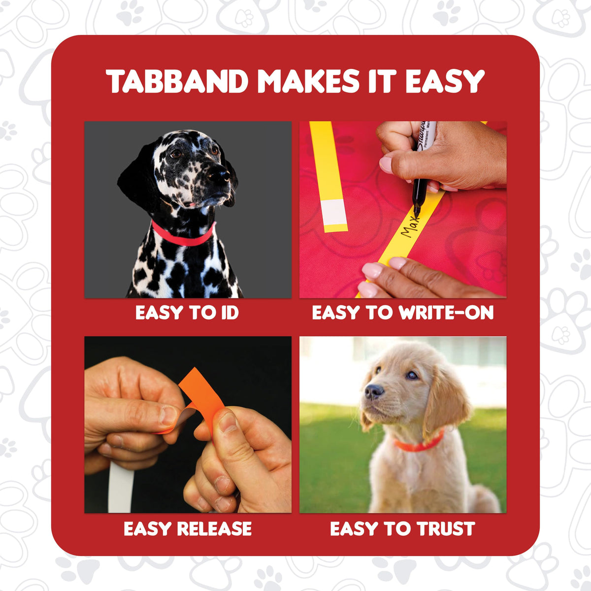 10 Inch 500 Count Waterproof Writable Pet ID Collars D549