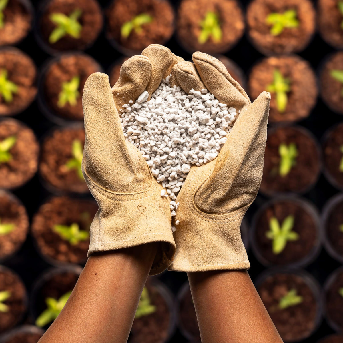 4 Cubic Ft Organic Perlite Soil Amendment A3320