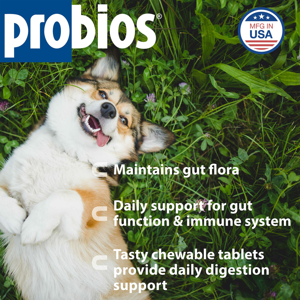 Digestive Dog Tabs 45 chewable tablets H706951