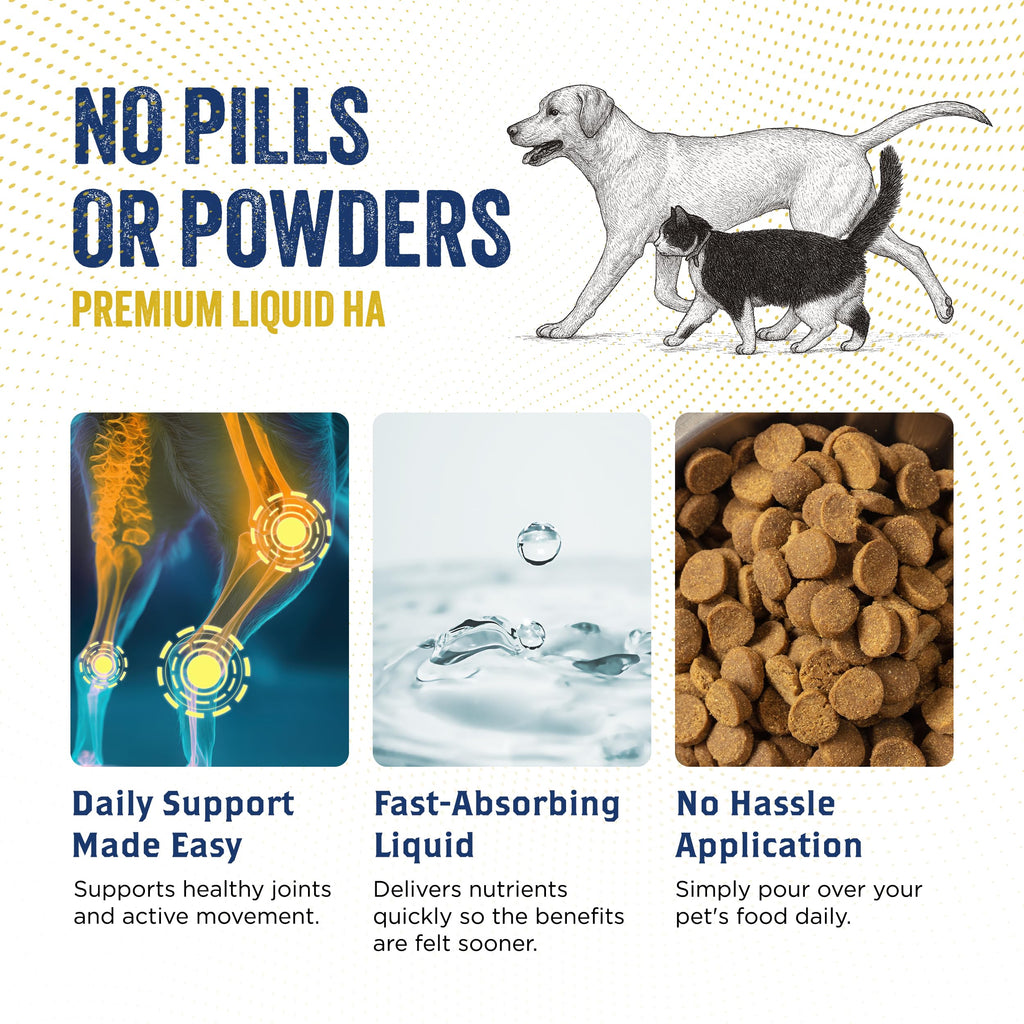 Hyaluronic Acid Hip & Joint Supplement for Dogs & Cats, 16 oz Z769