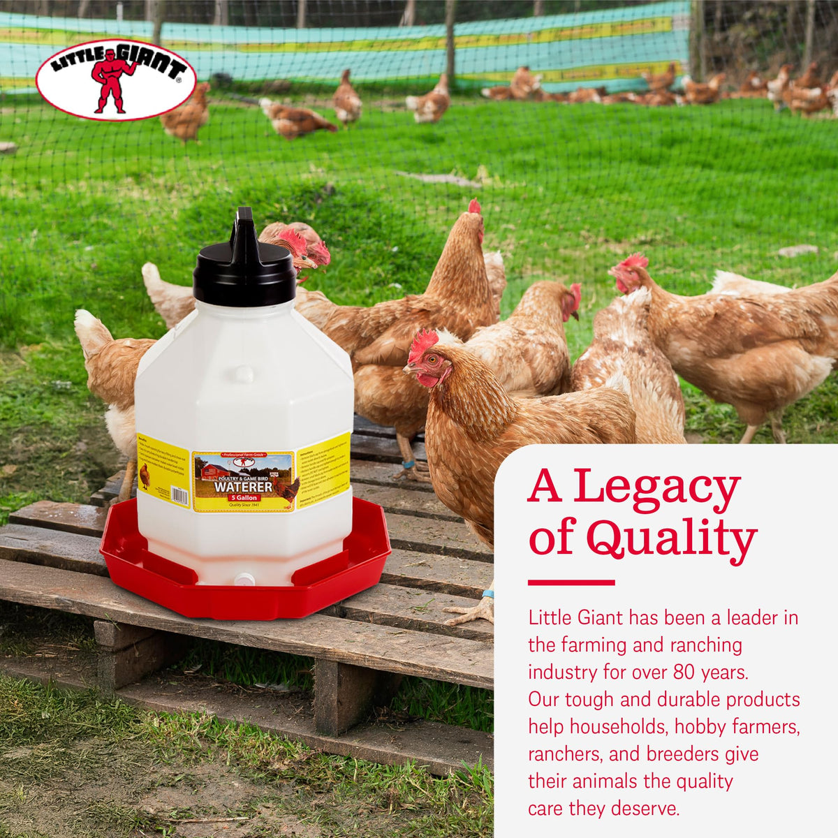 Plastic Poultry Waterer W8637