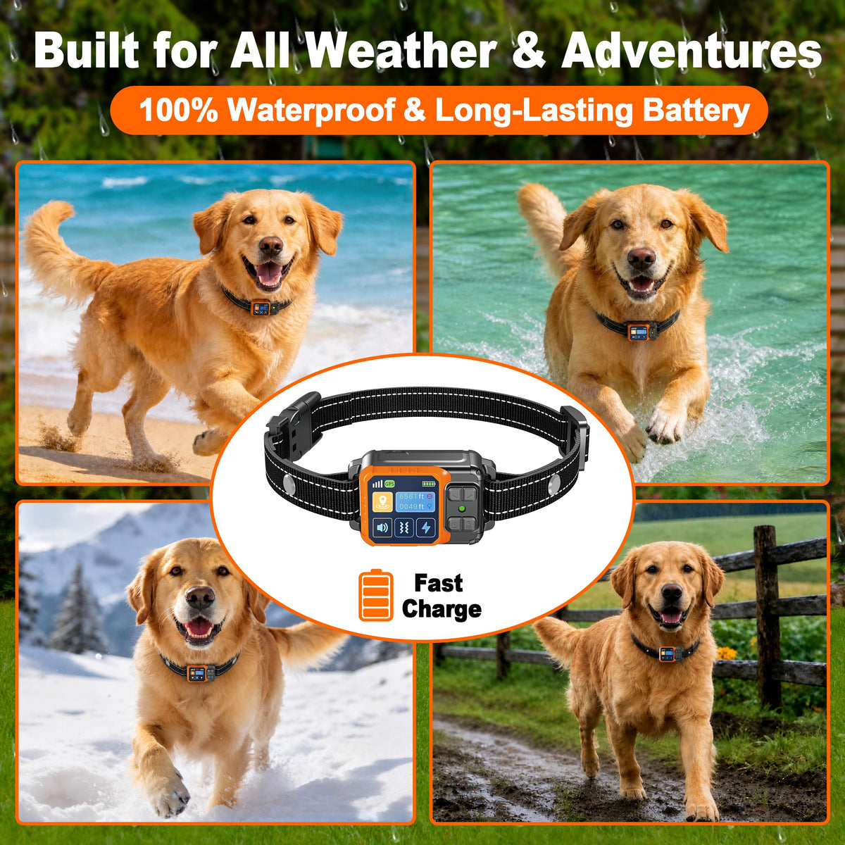 Wireless Dog Fence System T868