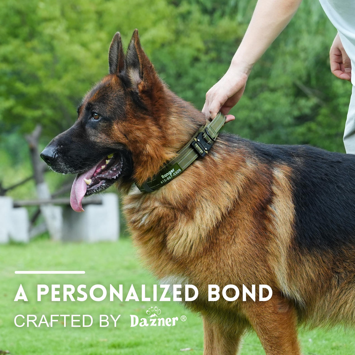 Tactical Dog Collar with Handle D55001
