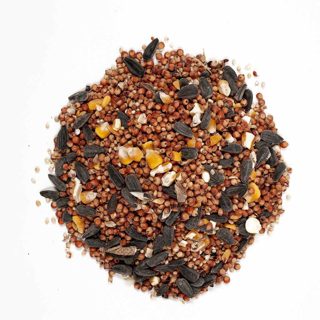 20-Pound Wild Bird Food and 10-Pound Cracked Corn P944