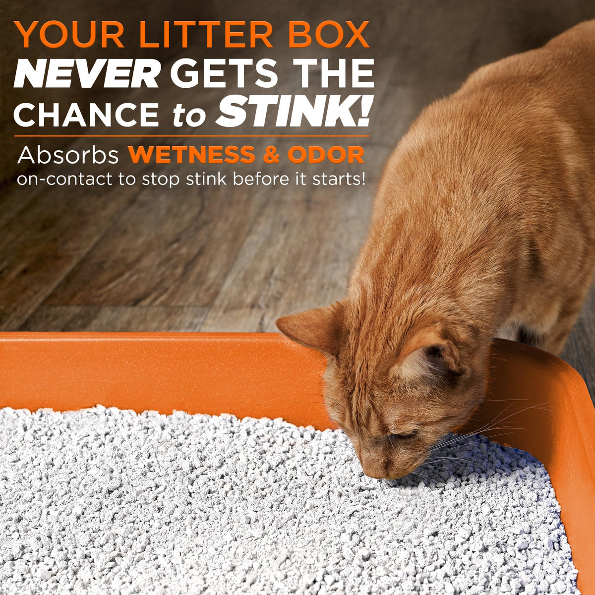 Cat Litter Odor Eliminator Additive 16 fl oz Bottle K6969